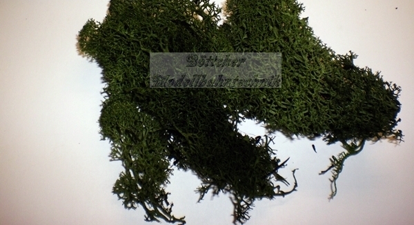 Noch 08610 Dekormoos Hell- Und Dunkelgrün Islandmoos | 35 G, 5,03